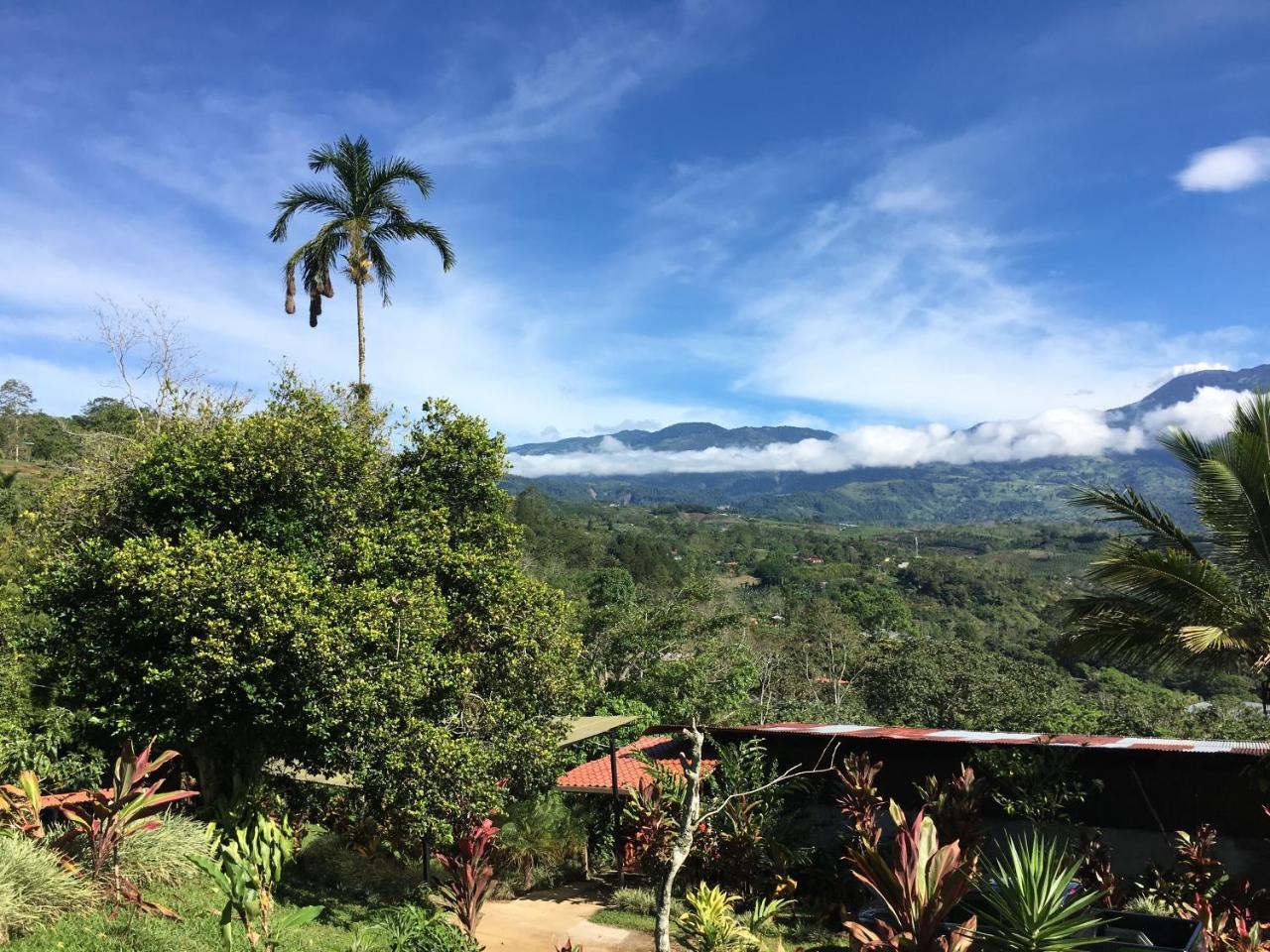 Green Mountain And Lodge Turrialba Eksteriør bilde