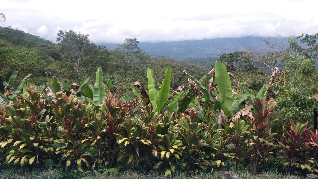 Green Mountain And Lodge Turrialba Eksteriør bilde