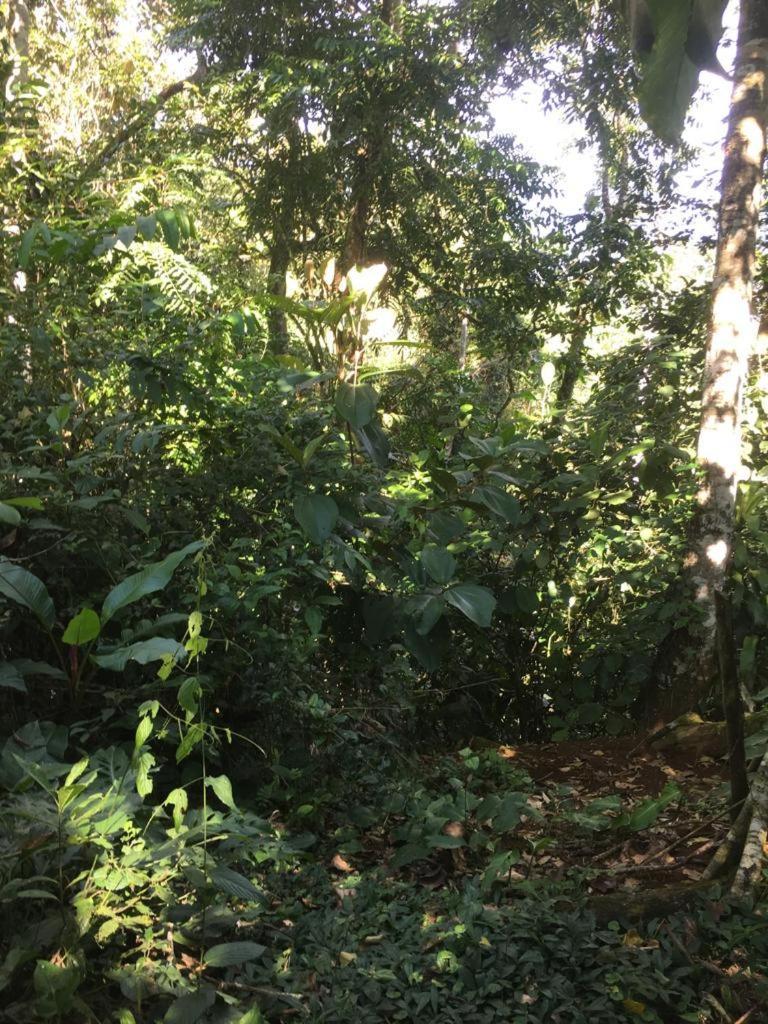 Green Mountain And Lodge Turrialba Eksteriør bilde